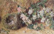 William Henry Hunt,OWS Chaffinch Nest and  May Blossom (mk46) oil on canvas